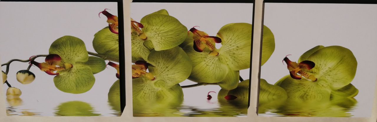 Green Orchidea 3 részes fali kép 90x30 Green Orchidea 3 részes fali kép 90x30