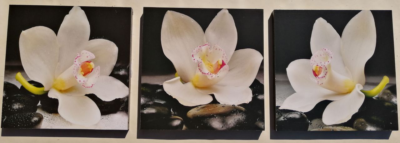 Spa Orchidea 3 részes fali kép 90x30 Spa Orchidea 3 részes fali kép 90x30