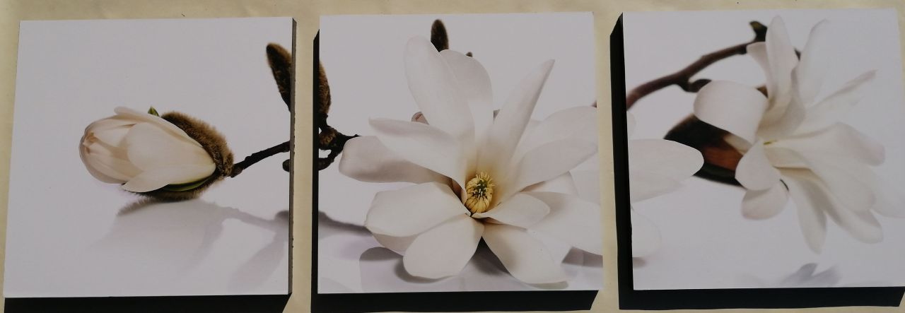 White Orchidea 3 részes fali kép 90x30 White Orchidea 3 részes fali kép 90x30