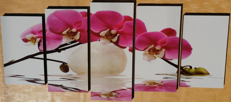 Pink Orchidea 5 részes fali kép 150 x 70 Pink Orchidea 5 részes fali kép 150 x 70